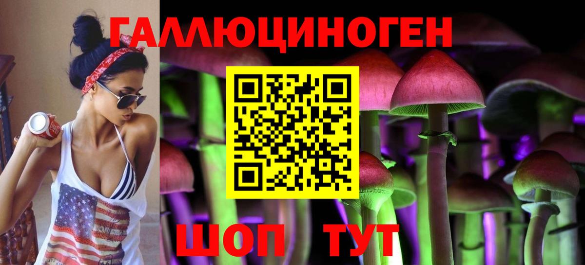 магазин продажи наркотиков  Вход с VPN  Батайск  Псилоцибиновые грибы мицелий 